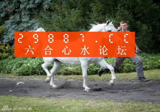 7777788888精准跑狗图正版,最新核心解答落实_潮流版2.773