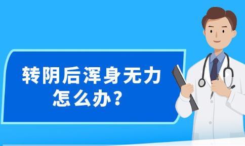 新澳精准资料免费提供最新版,效率资料解释落实_UHD44.170