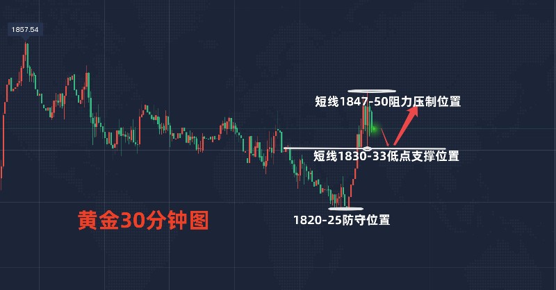 新奥天天正版资料大全,未来趋势解释定义_X73.142