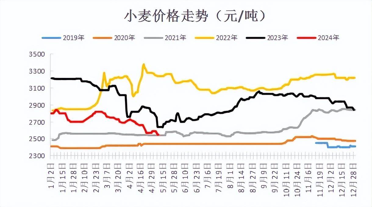 小麦最新价格走势动态分析